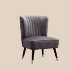 Roundhill Furniture Elon Contemporary Velvet Upholstered Accent Chair, Gray