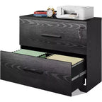 DEXYLLO 2-Drawer Wood Lateral File Cabinet with Lock for Home Office